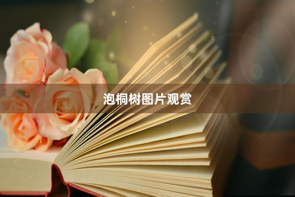 泡桐树图片观赏